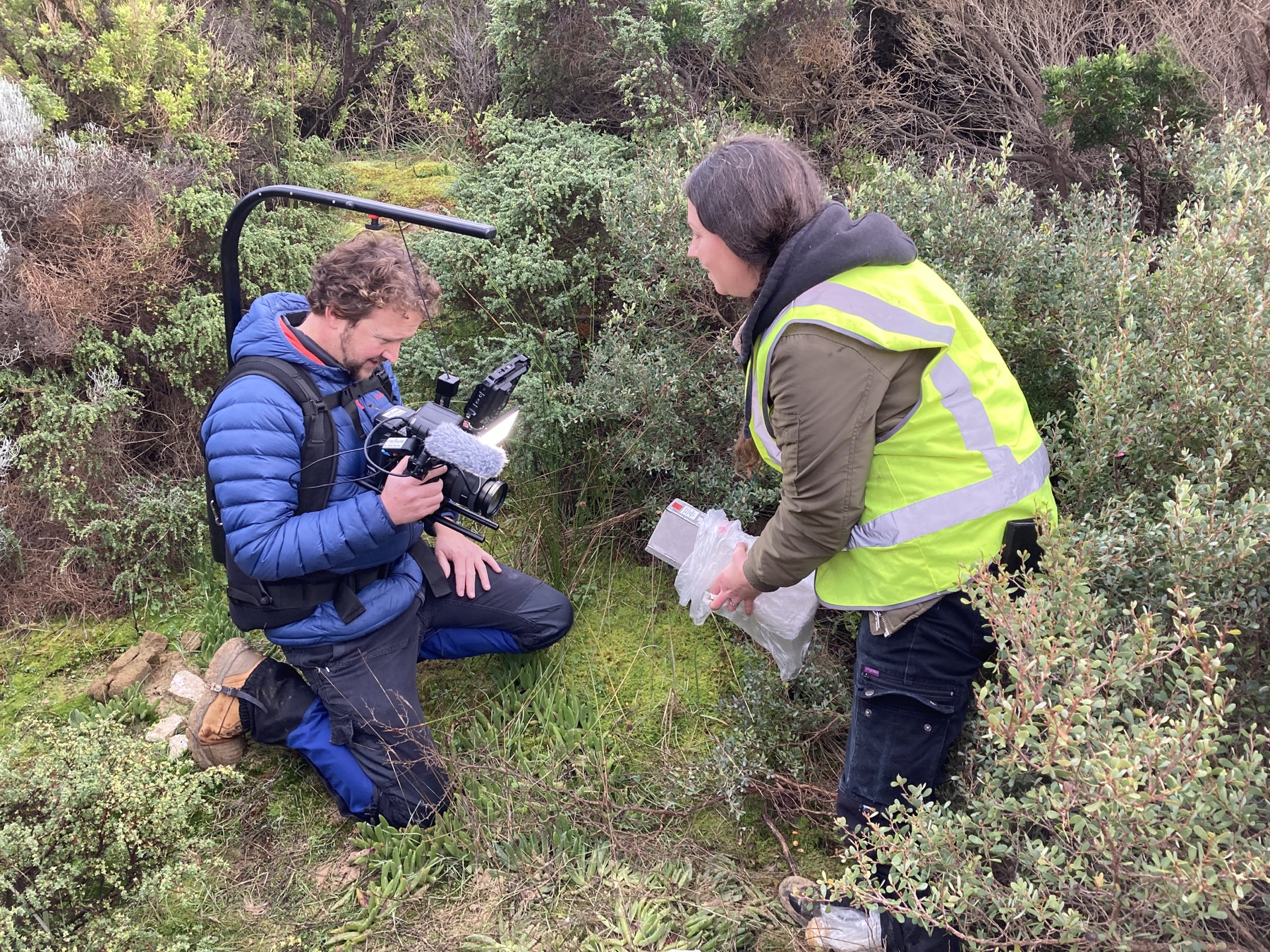 Recording an interview beside a bushland track