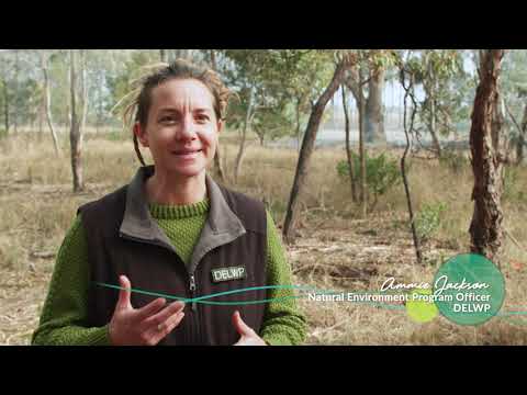 Community and Culture Burn film preview